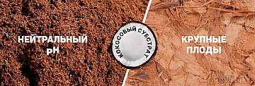 cocos-substrat-moldova-chisinau-1