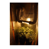  Cutie de cultură la cheie (sol) DNaT Reflux 400 W /2-4 locuri