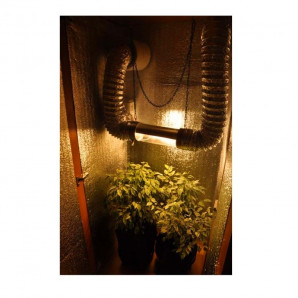 Cutie de cultură la cheie (sol) DNaT Reflux 400 W /2-4 locuri