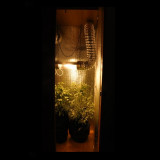 Cutie de cultură la cheie (sol) DNaT Reflux 400 W /2-4 locuri