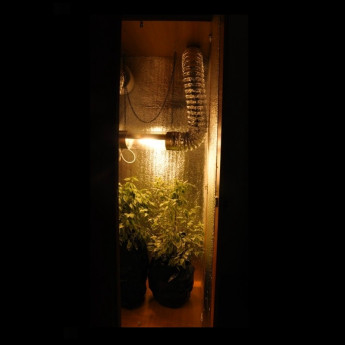 Cutie de cultură la cheie (sol) DNaT Reflux 400 W /2-4 locuri