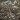 Substrat Allmix
