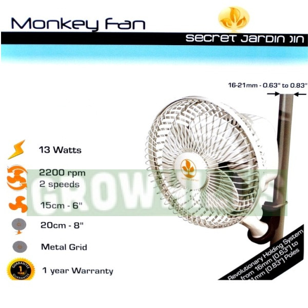Monkey fan 