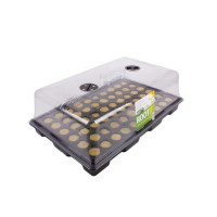ROOTiT Propagator Lid 