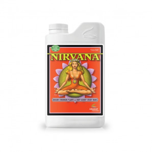 Nirvana