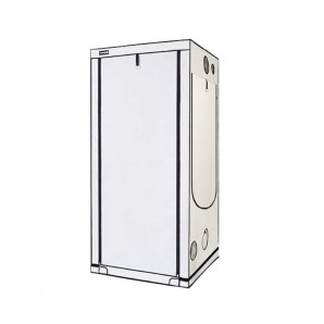 Homebox Ambient Q100+