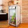 Homebox Ambient Q100+