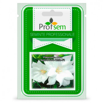 PS Platycodon Aster Semi-dublu White F1 50 de seminte