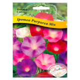 Mix Maxi Morning Glory 5g