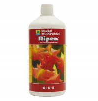 GHE Ripper 