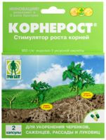 Planta rădăcină