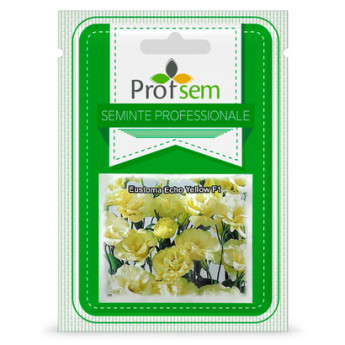 P.S. Eustoma &quot;Echo Yellow F1&quot; 100 de seminte