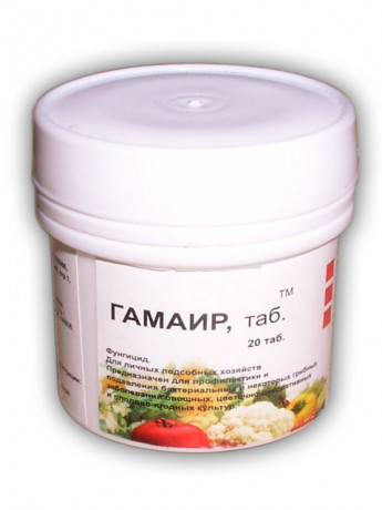 Gamair (20 de file)