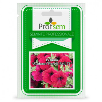 P.S. Petunia &quot;Avalanche Purple Red F1&quot; 100 de seminte