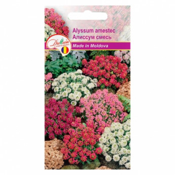 Amestecul Euro Alyssum 0,1 g
