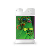 Creștere suc de iguană 