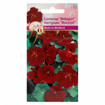 Euro Nasturtium &quot;Mahon&quot; 1 g