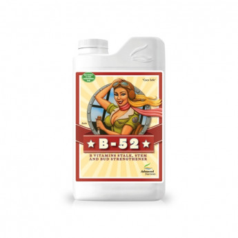 Complexul B-52