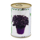 SV Busuioc violet &quot;Fulvo&quot; 100 g