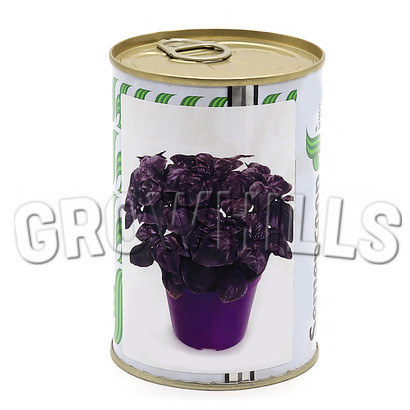 SV Фиолетовый базилик "Fulvo" 100 г