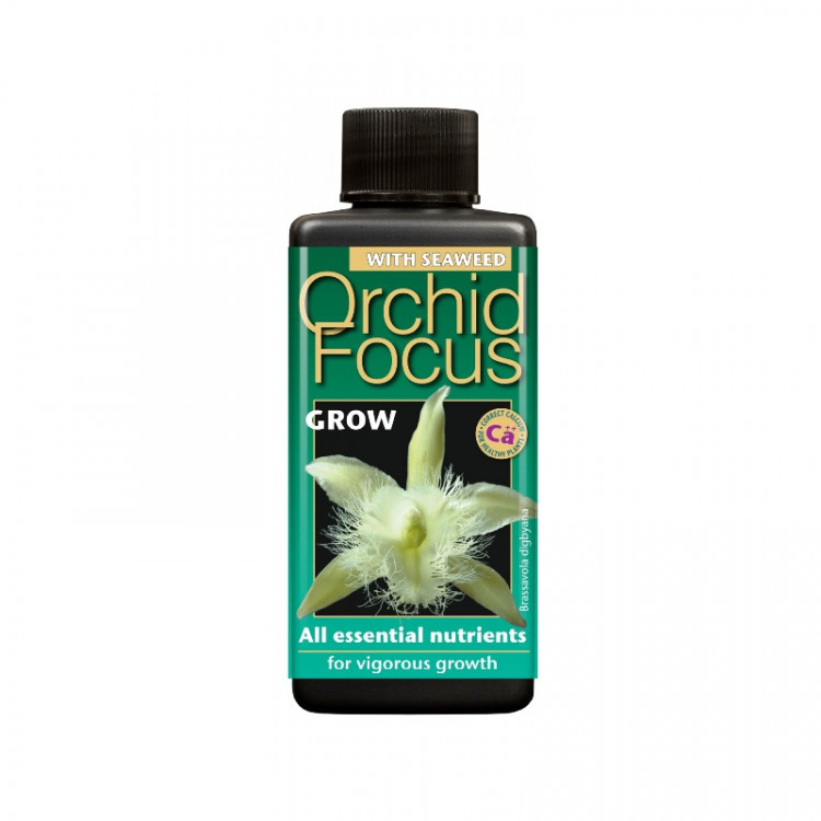 Orchid Focus Grow 100 ml
