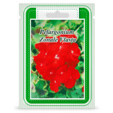 P.S. Pelargonium zonal &quot;Vlasta&quot; 50 seminte
