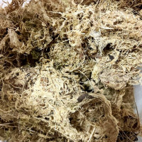 Muşchi de sphagnum 1 litru