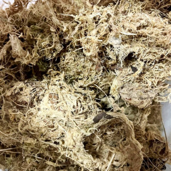 Muşchi de sphagnum 1 litru