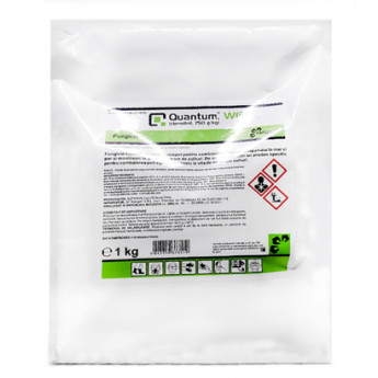 Quantum, WG 1 kg