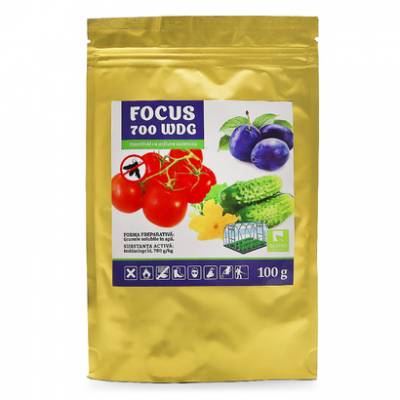 Focus 700 sales