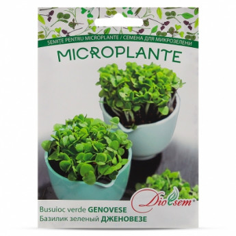 MG Busuioc verde &quot;Genovese&quot; 5 g