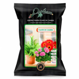 Substrat diolsem pentru plante de interior 3 l