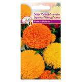 Amestecul Euro Galbenele "Calando" 0,1 g