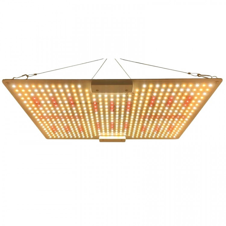 Monkey LED 150W Full Spectrum