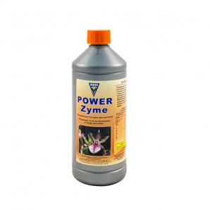 Puterea Zyme