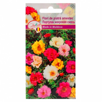 Amestec Euro Purslane Terry 0,2 g