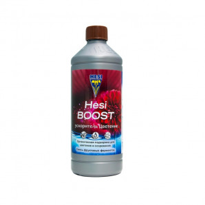 Hesi Boost