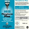 Hesi Phosphorus Plus 
