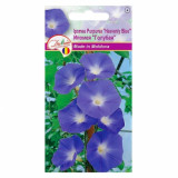 Euro Ipomoea "Albastru" 1 g