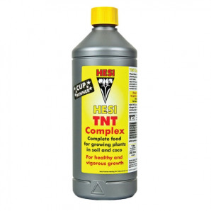 Complexul TNT 