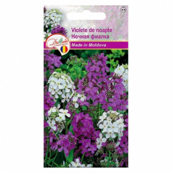 Euro Night violet 0,5 g