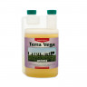  Canna Terra Vega