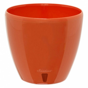 Ghiveci deco morcovi 2,5 l