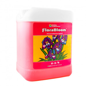 Flora Bloom 5 l 