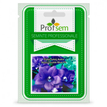 PS Platycodon Aster Semi-dublu Blue F1 50 de seminte