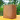 Bloc substrat de nucă de cocos 5 kg