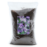 DS Phacelia 1 kg