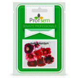 PS Gloxinia &quot;Avanti Mix F1&quot; 10 seminte