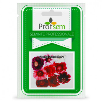 PS Gloxinia &quot;Avanti Mix F1&quot; 10 seminte