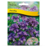 Maxi Phacelia 20g